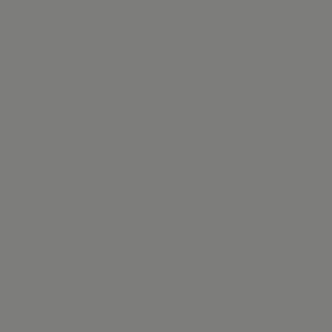 Slate gray (HU-0106)